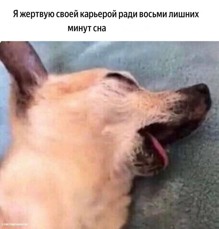 Вывод: Сон стоит выше инстинкта самосохранения