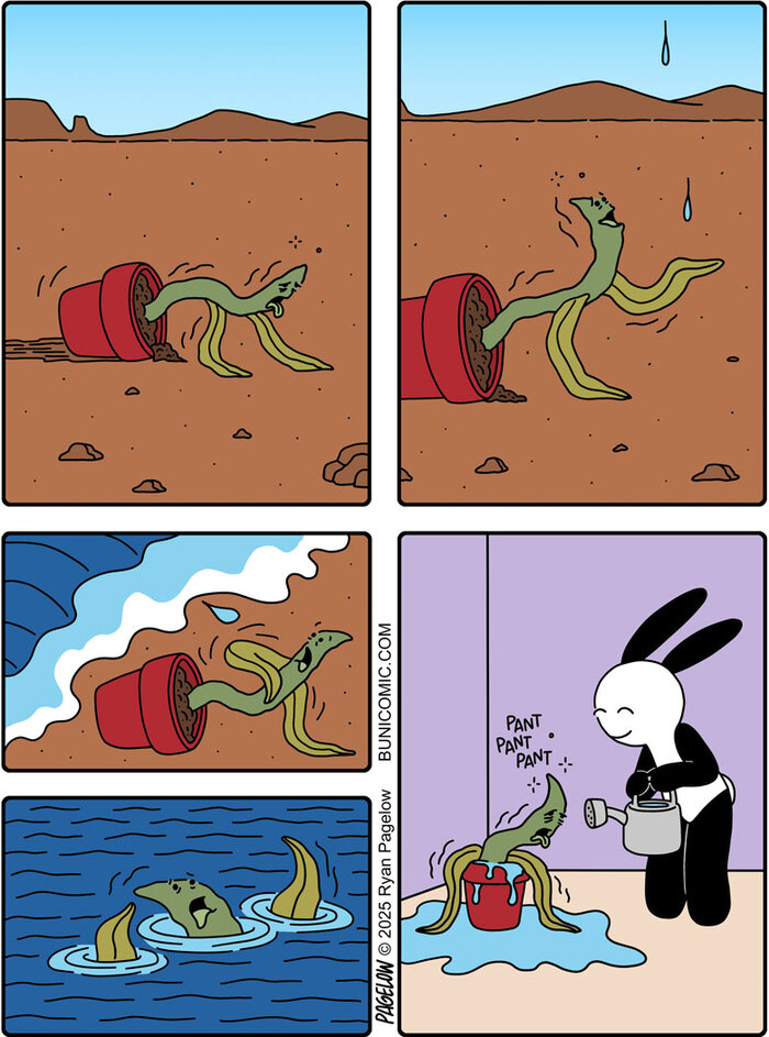  Buni, Pagelow, , , 