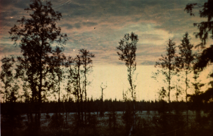   .         (   ,    )        .