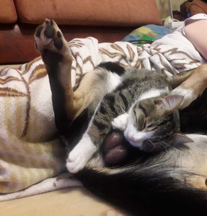    :    , , ,  , ,  ,   