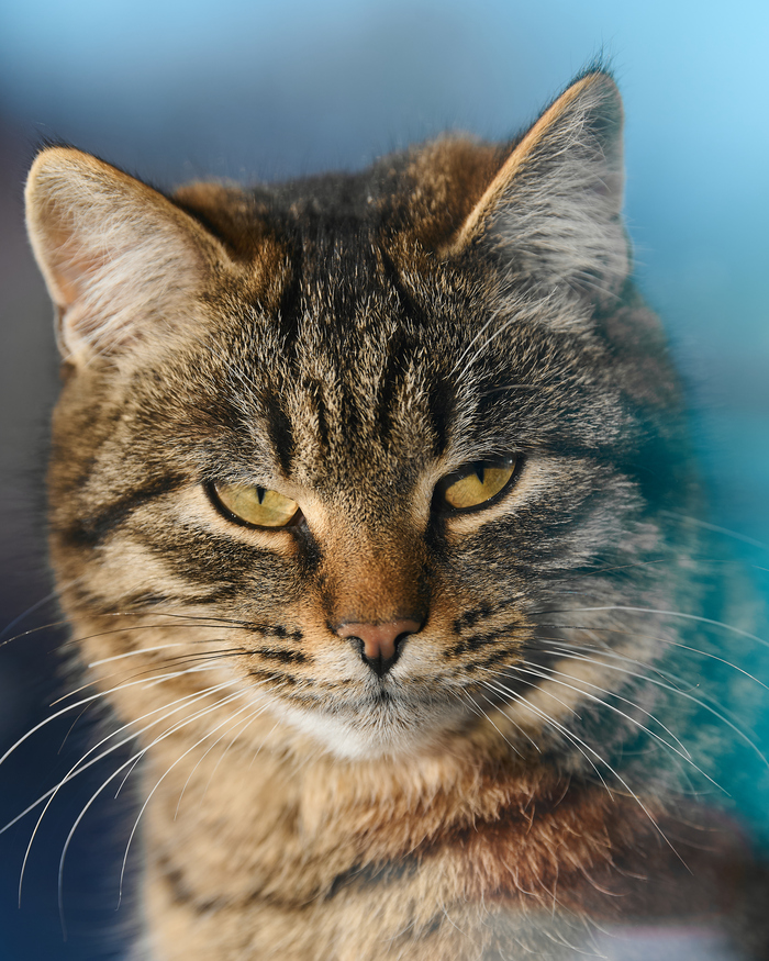 ����������� ���������� � ������ ���������� ������� �����