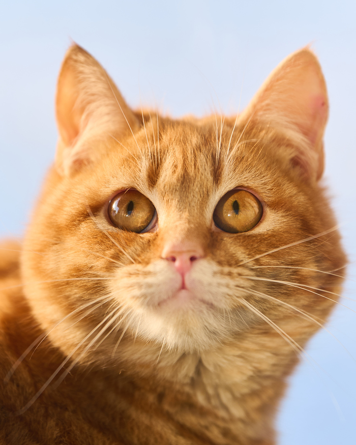 ���������� ����� � ���������� �������� � �����������