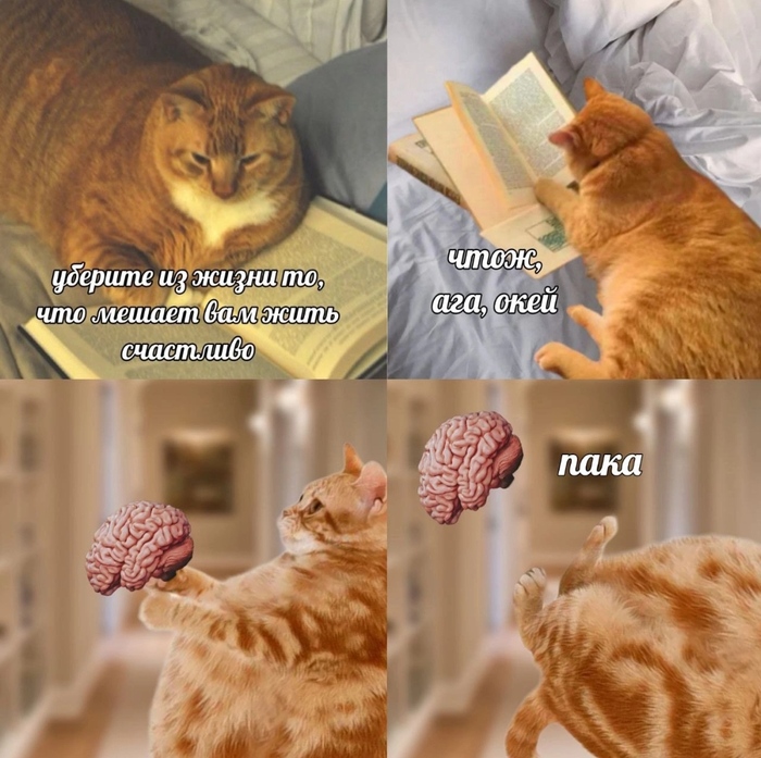    -   ?