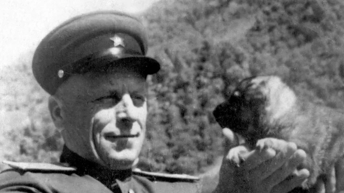 ������ ��������