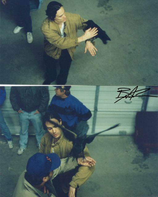 Подготовительная работа Брэндона Ли перед съёмками сцен с ручным вороном.