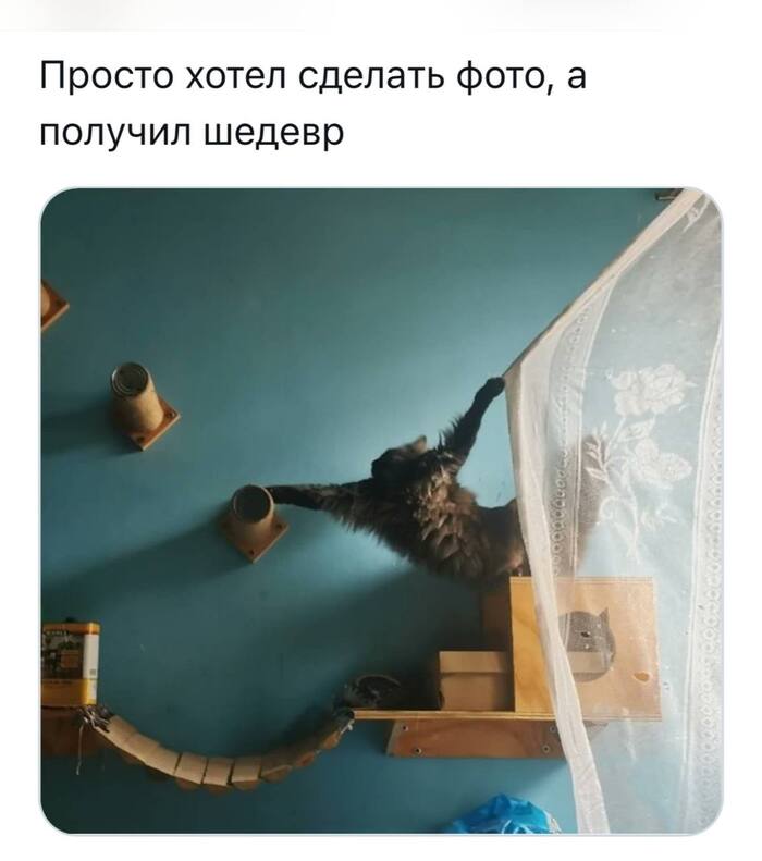 .   , , , , Telegram (),  , 
