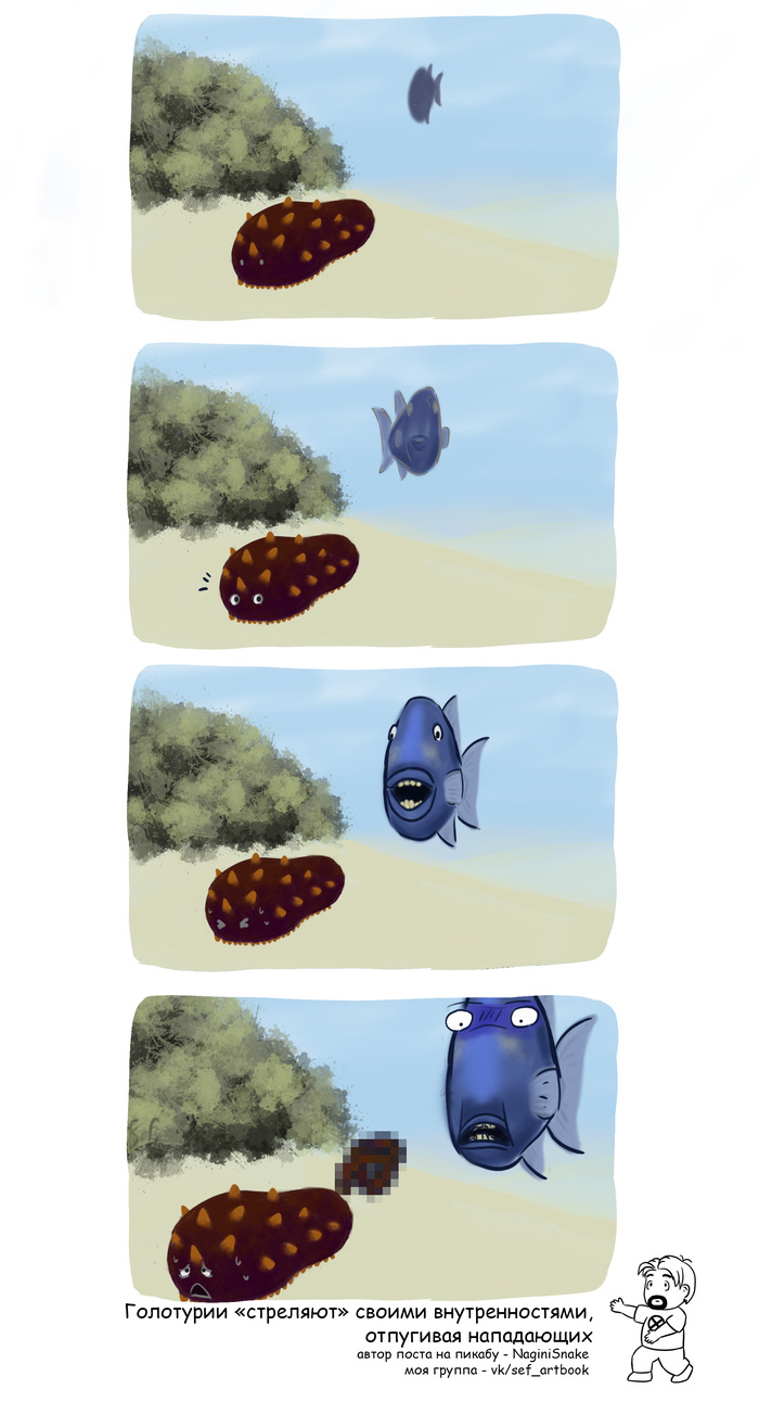 Ответ на пост «Школьные факты #24»