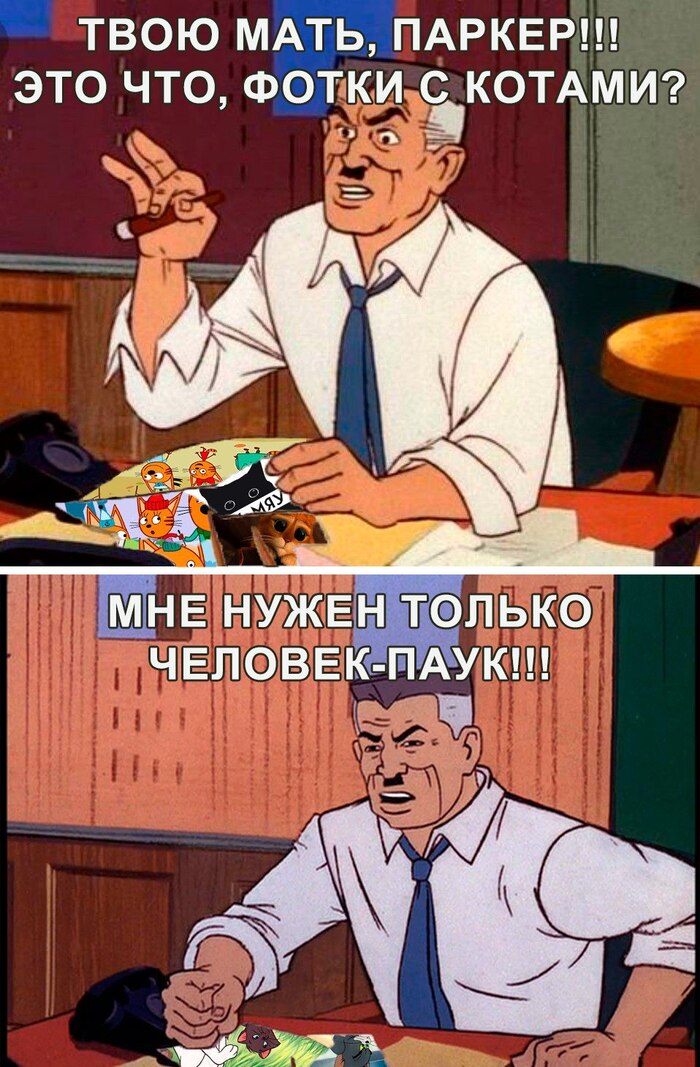   ,   , , , , -, , , , , , ,  (),   ,  ,  