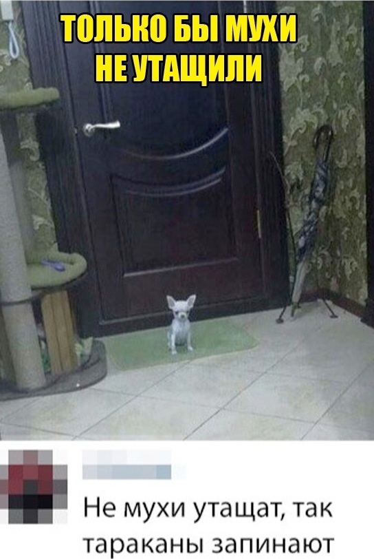   ?   , , , -