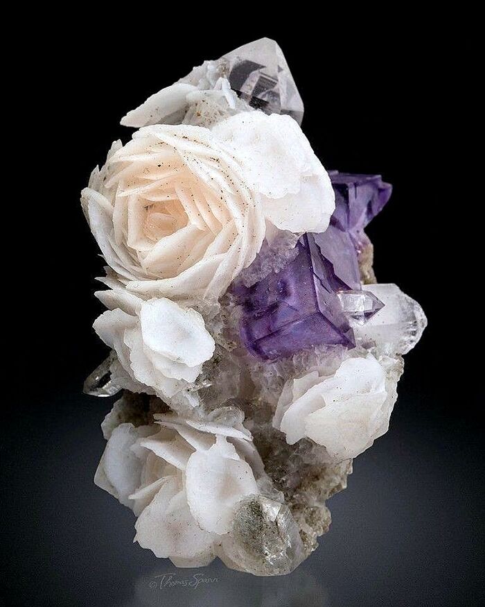  ""     . Origin Yaogangxian, China