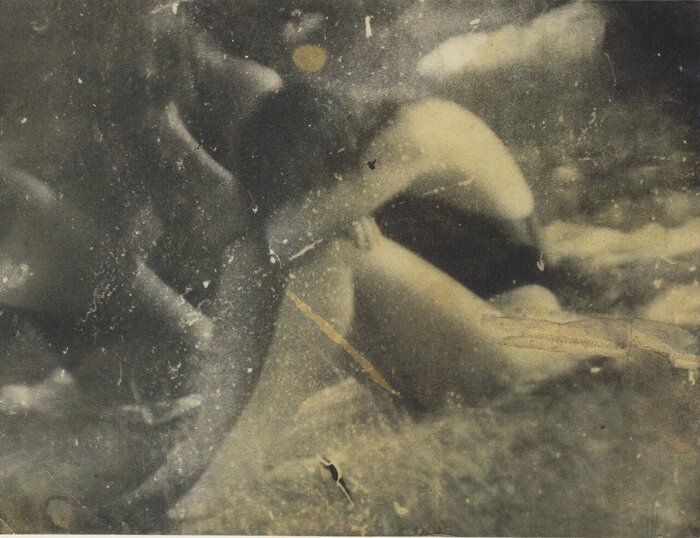 Автор: Мирослав Тихий