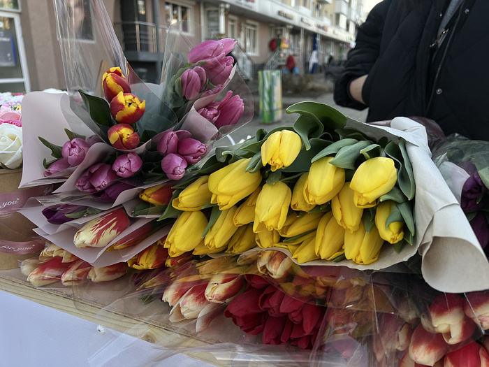 Фото: Вероника Максимова