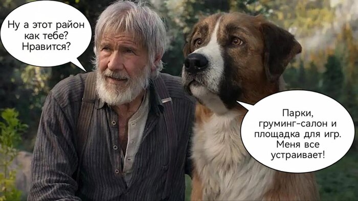 Где в Москве и Питере удобнее всего арендовать квартиру владельцам домашних животных