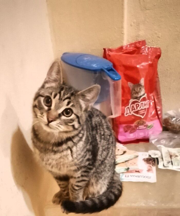 ����� ��� ���� ���! ���� ��������� �� ��������