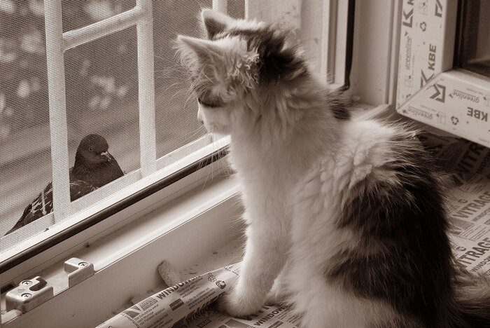 �������