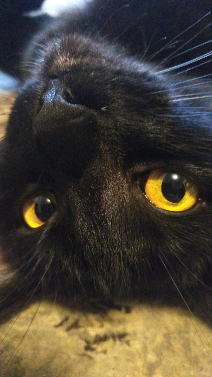 � �� ���� �����!!!