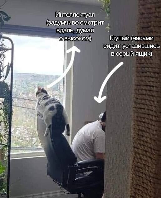 :  ". ()"  7703380158