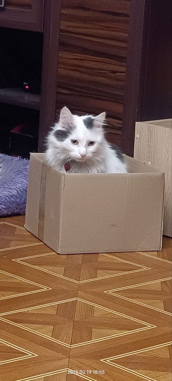 �������� ��������