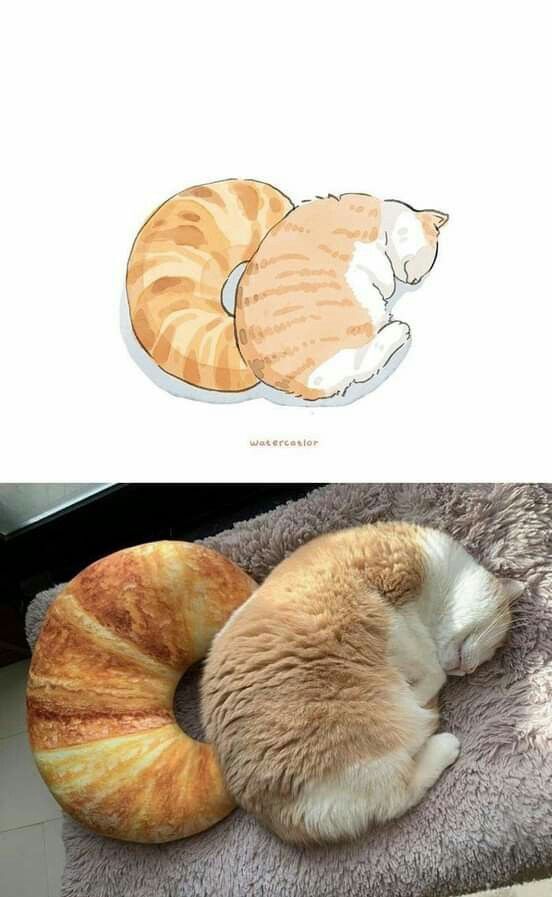 Реклама: ООО "АЛИБАБА.КОМ (РУ)" ИНН 7703380158