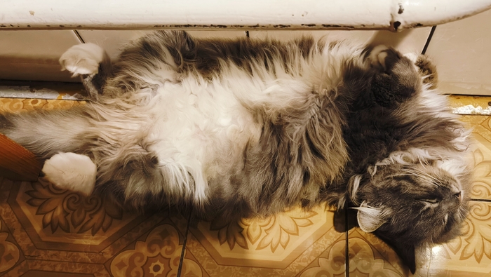 ����� ���� �� ��� - �������� ������� ������������ ����� ������