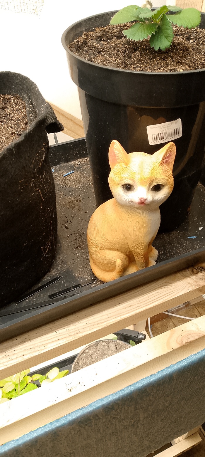 Хранитель огорода