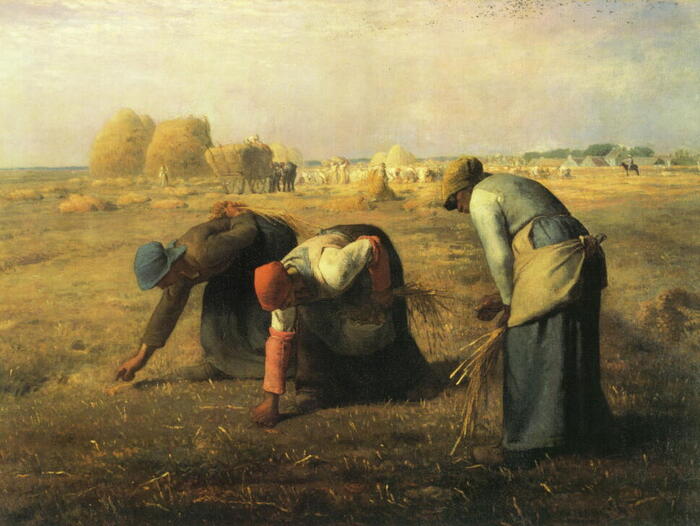 сезонный сбор боттитошки