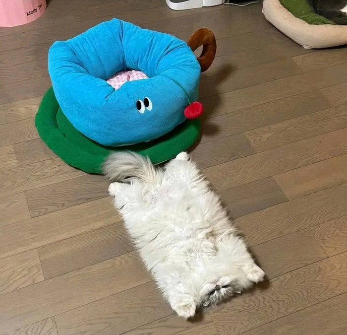 :  ". ()"  7703380158