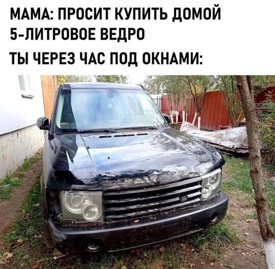 1741361772187945340.jpg