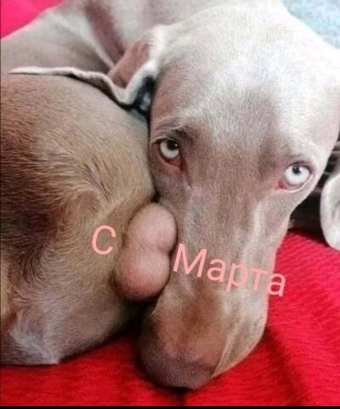 ,  , !