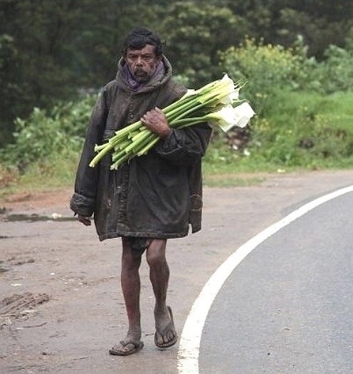 � 8 �����, �������