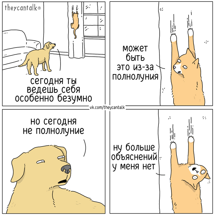 Theycantalk,  , , , , , , ,    