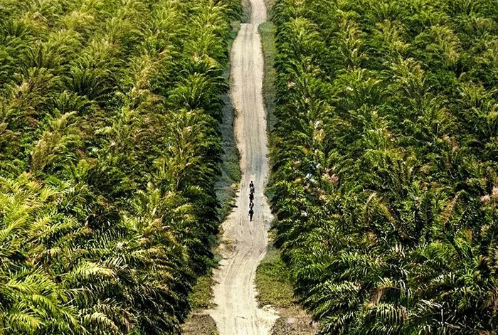 Необычные и интересные снимки из разных стран мира, сделанные в XX веке. 20 раскрашенных фотографий. Часть V Старое фото, Историческое фото, 20 век, Фотография, Колоризация, Длиннопост