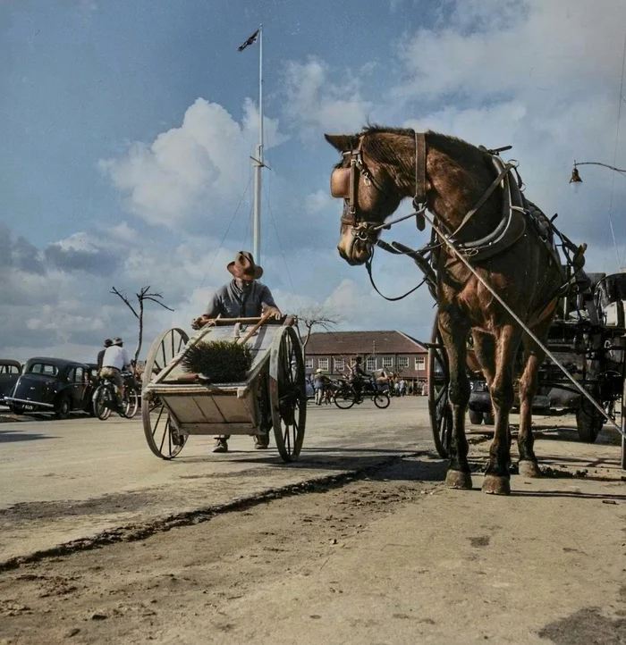Необычные и интересные снимки из разных стран мира, сделанные в XX веке. 20 раскрашенных фотографий. Часть V Старое фото, Историческое фото, 20 век, Фотография, Колоризация, Длиннопост