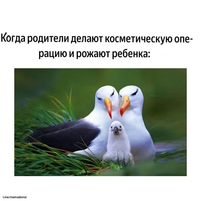 Stop thinking about yourself, think about the children - Memes, Picture with text, Humor, Children, Telegram (link)