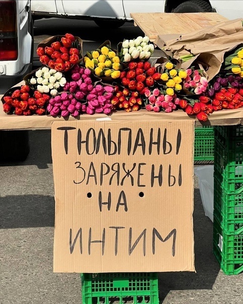 Маркетинг 80 lvl