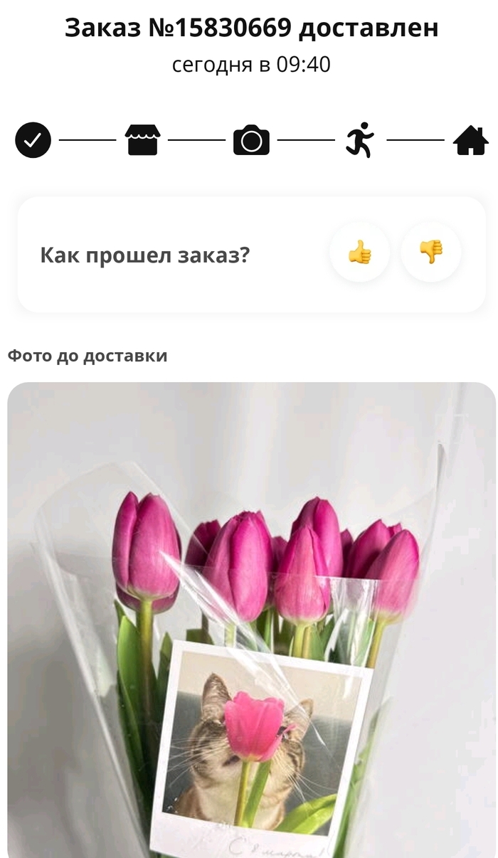    8  -   , , ,  ,  , 