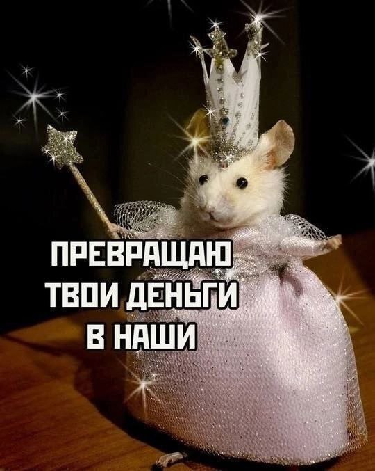  ,   , , , , 