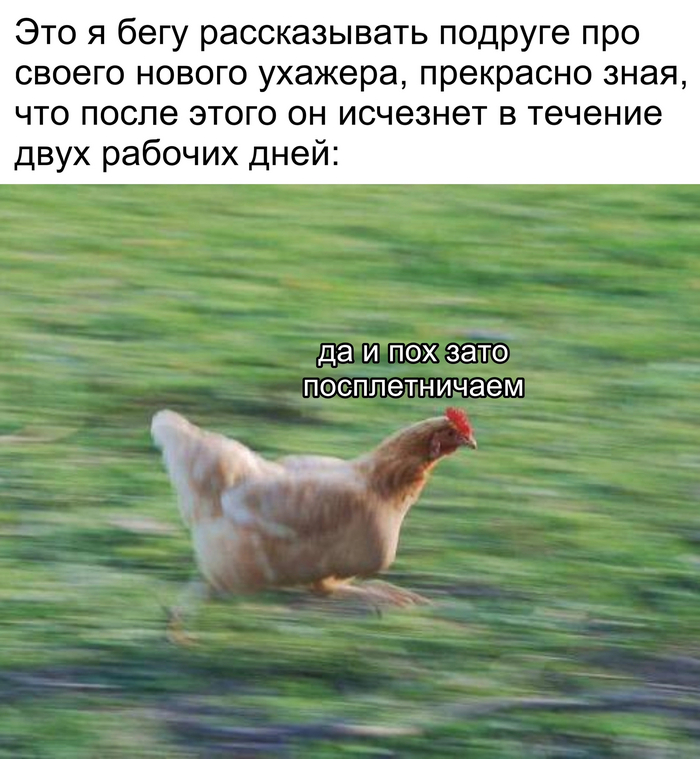        ? , ,  ,   , ,   