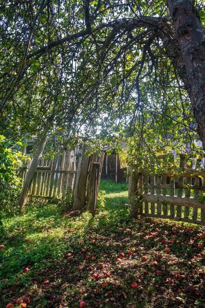 ���� �������: ������ ���� ������ ����� ������ ������ ����