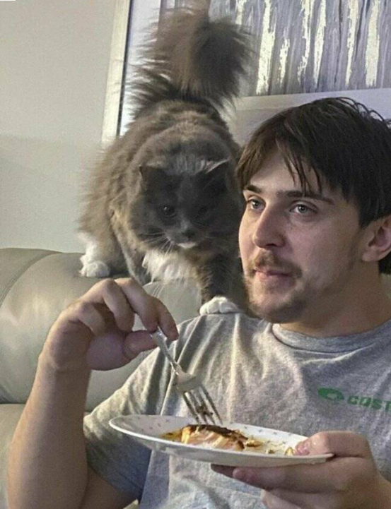 -  , ? , , , 