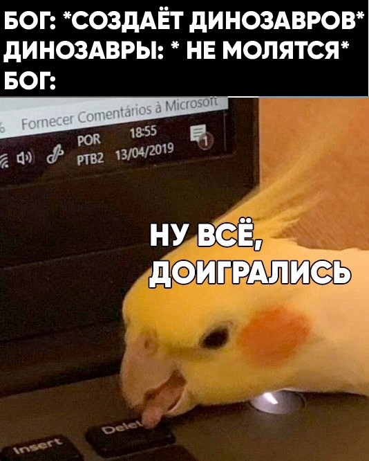    , , ,  , , , 