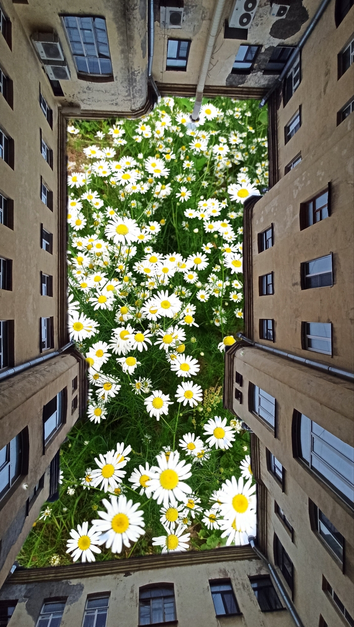 Low cost Photoshop  , , ,  