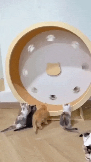  Ninja Warrior! , , , , , , , , , , , , Telegram ()