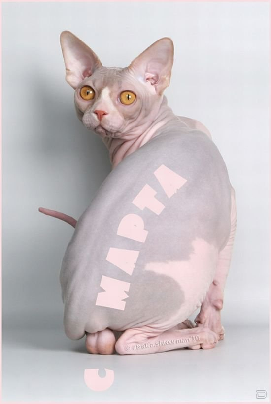 � ����������!!!!!!!!!!