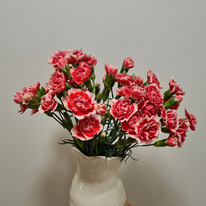 ,     &quot;-&quot;?