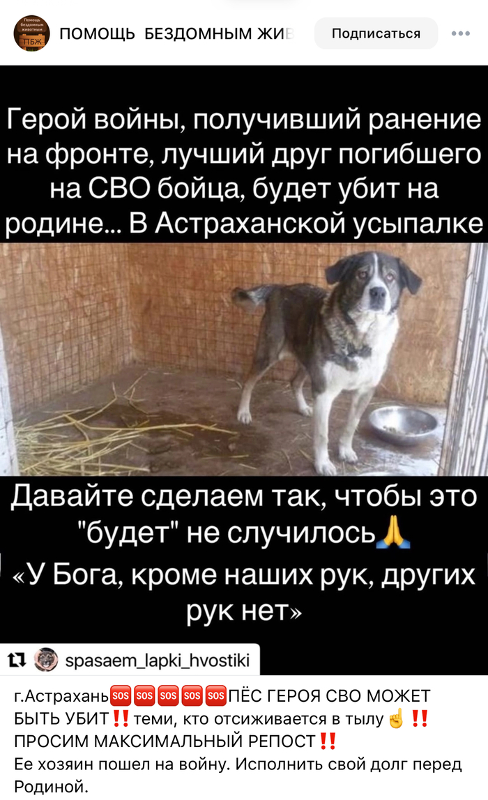    :           ,  , , , , , , , , Telegram (),  (), , 