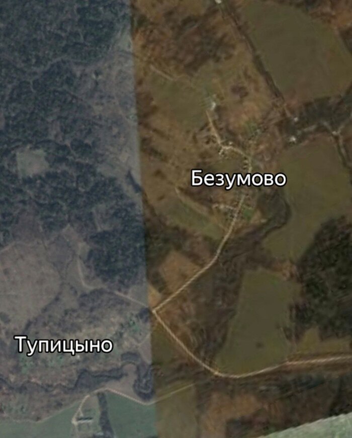 Чего только не найдешь в Подмосковье