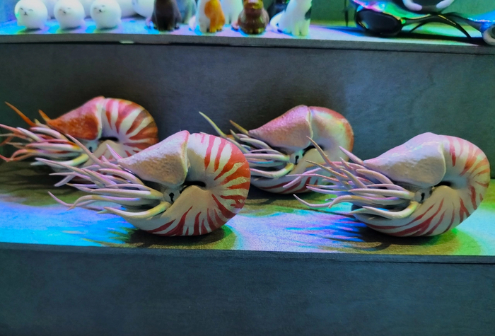     ,  ,  , 3D , , , , 3D, 3D , Zbrush, , , , 