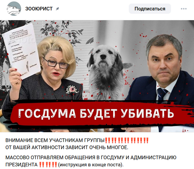 <!--noindex--><a href="https://pikabu.ru/story/zooyurist_zibert_prizyivaet_lyudey_k_obmanu_i_dezinformiruet_naselenie_stranyi_12465429?u=https%3A%2F%2Fvk.com%2Fpublic194472953%3Fw%3Dwall-194472953_22723&t=https%3A%2F%2Fvk.com%2Fpublic194472953%3Fw%3Dwall-194472953_22723&h=cec3d763c0d2835703d1c19509455b00363a7426" title="https://vk.com/public194472953?w=wall-194472953_22723" target="_blank" rel="nofollow noopener">https://vk.com/public194472953?w=wall-194472953_22723</a><!--/noindex-->