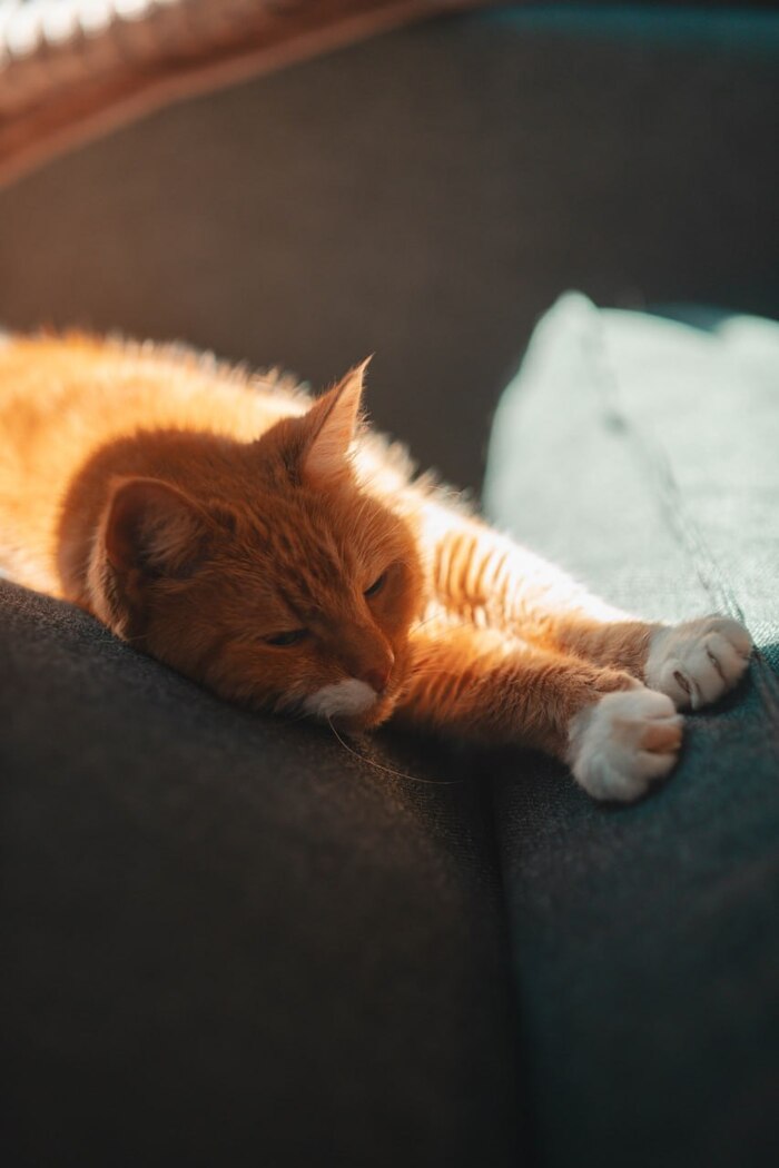 Наше солнце... ушла на радугу...